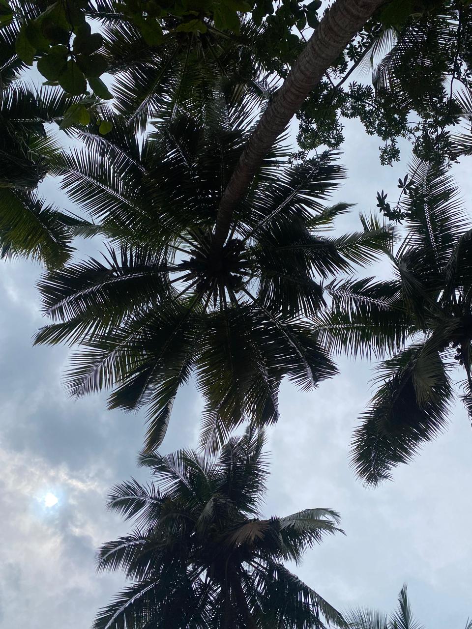 WhatsApp Image 2025-07-16 at 11.43.00 AM