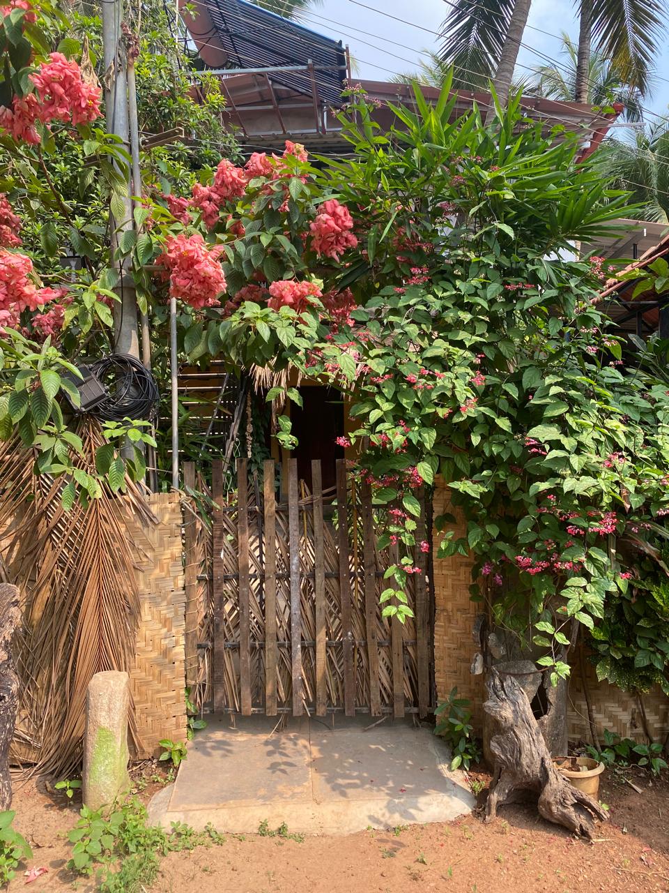 WhatsApp Image 2025-07-16 at 11.43.01 AM